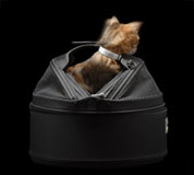 スリーピーポッドは遊べる空間にもなります