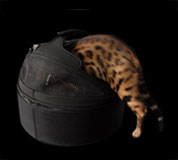 スリーピーポッドは遊べる空間にもなります